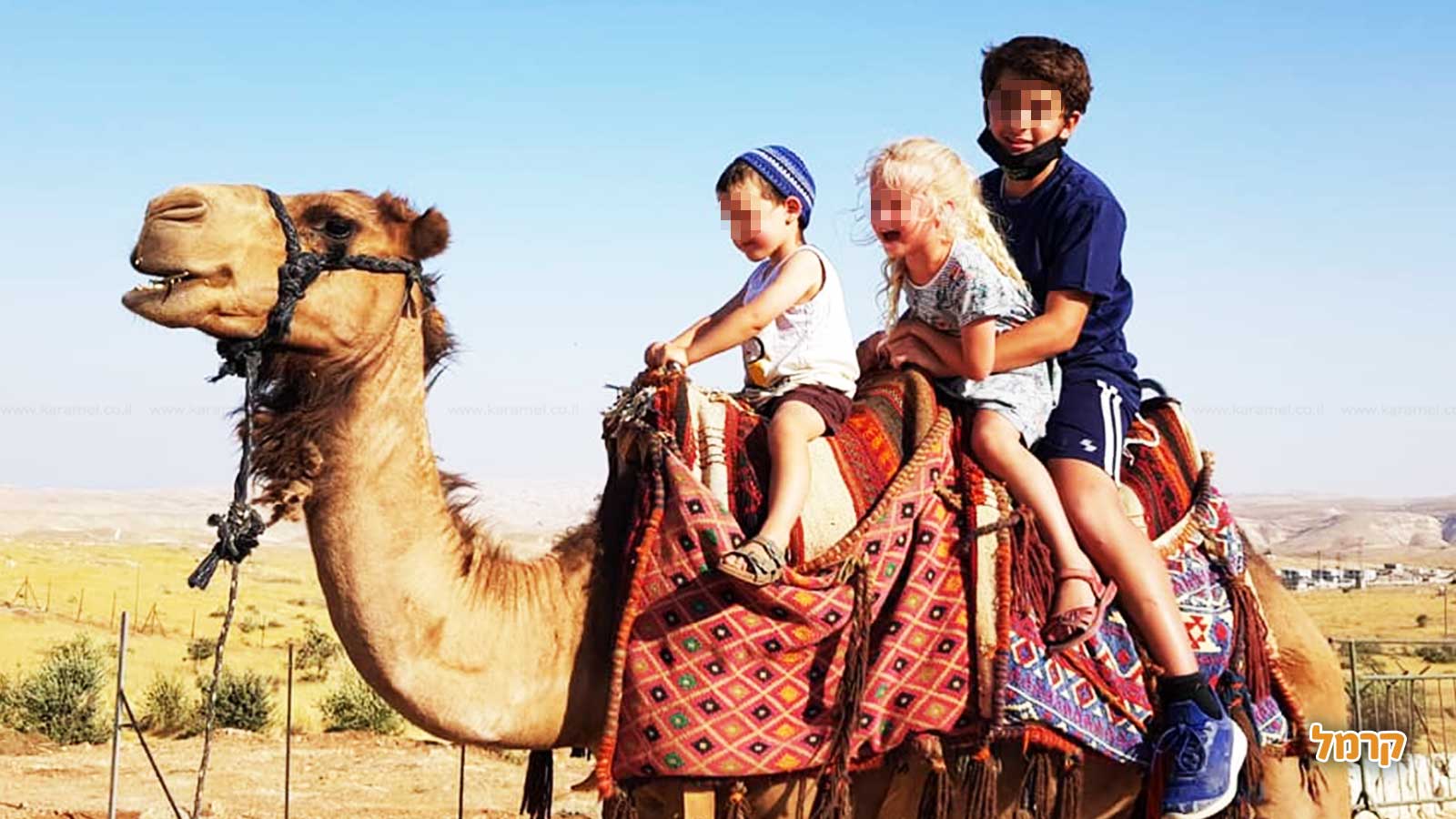 חוות החיות של שלמה - 073-7769529