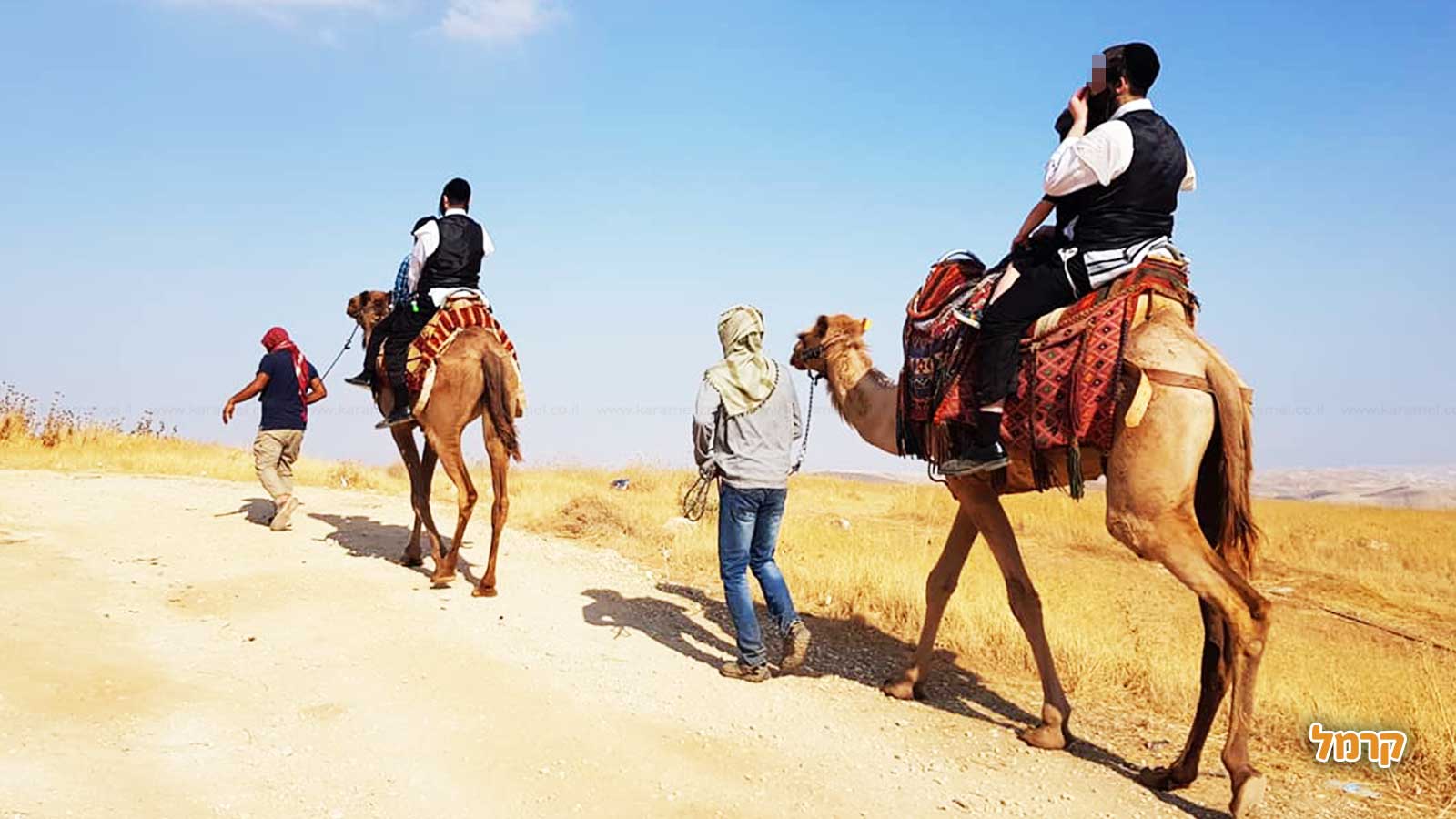 חוות החיות של שלמה - 073-7769529