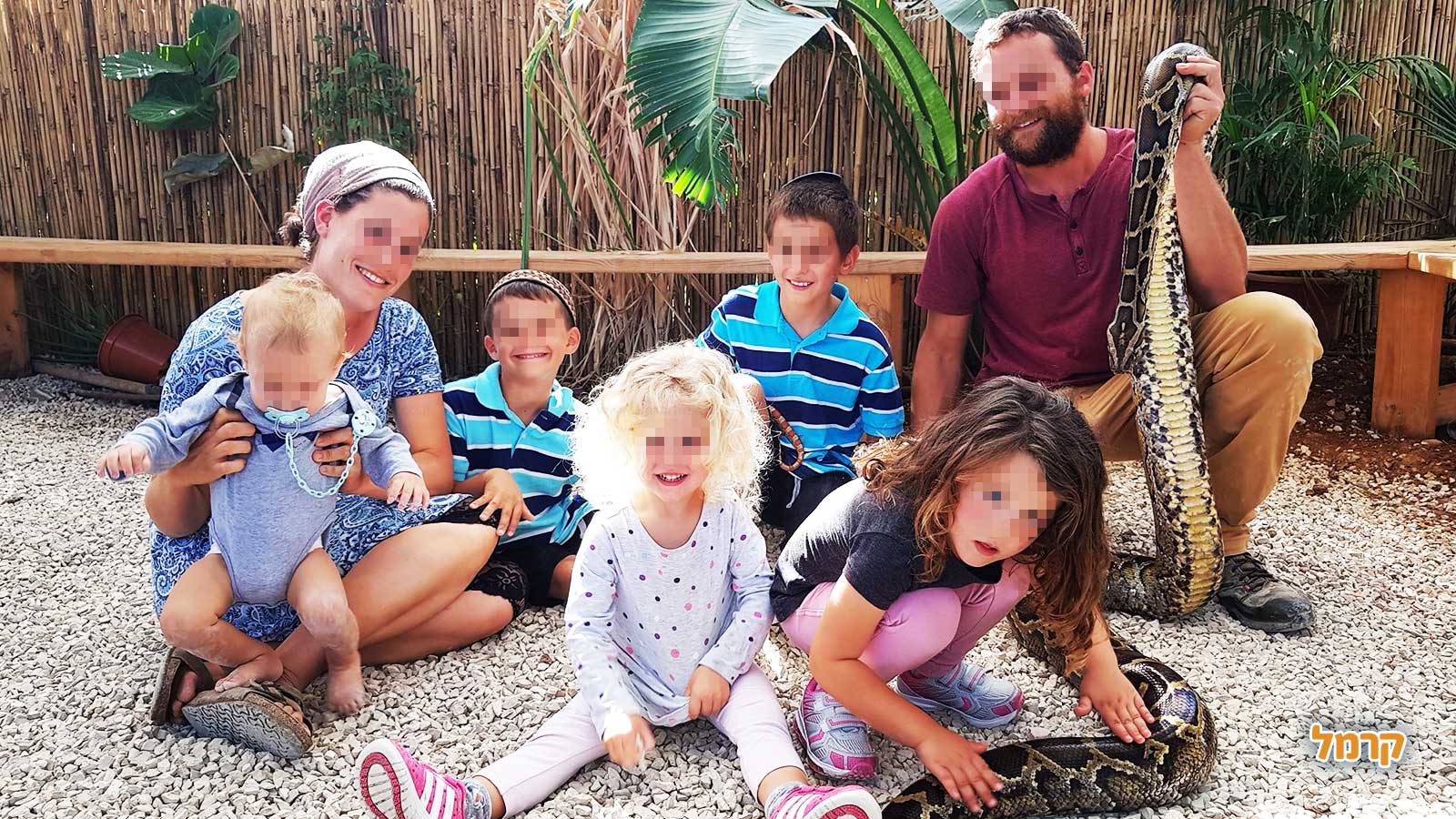 חוות החיות של שלמה - 073-7769529