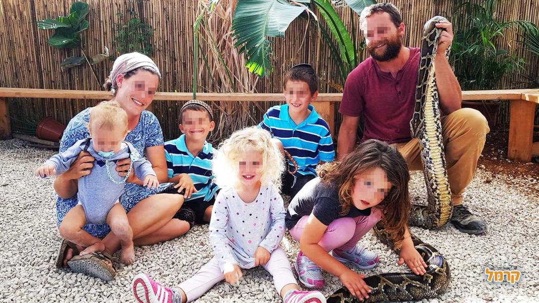 מתחם החיות של שלמה - 073-7769529