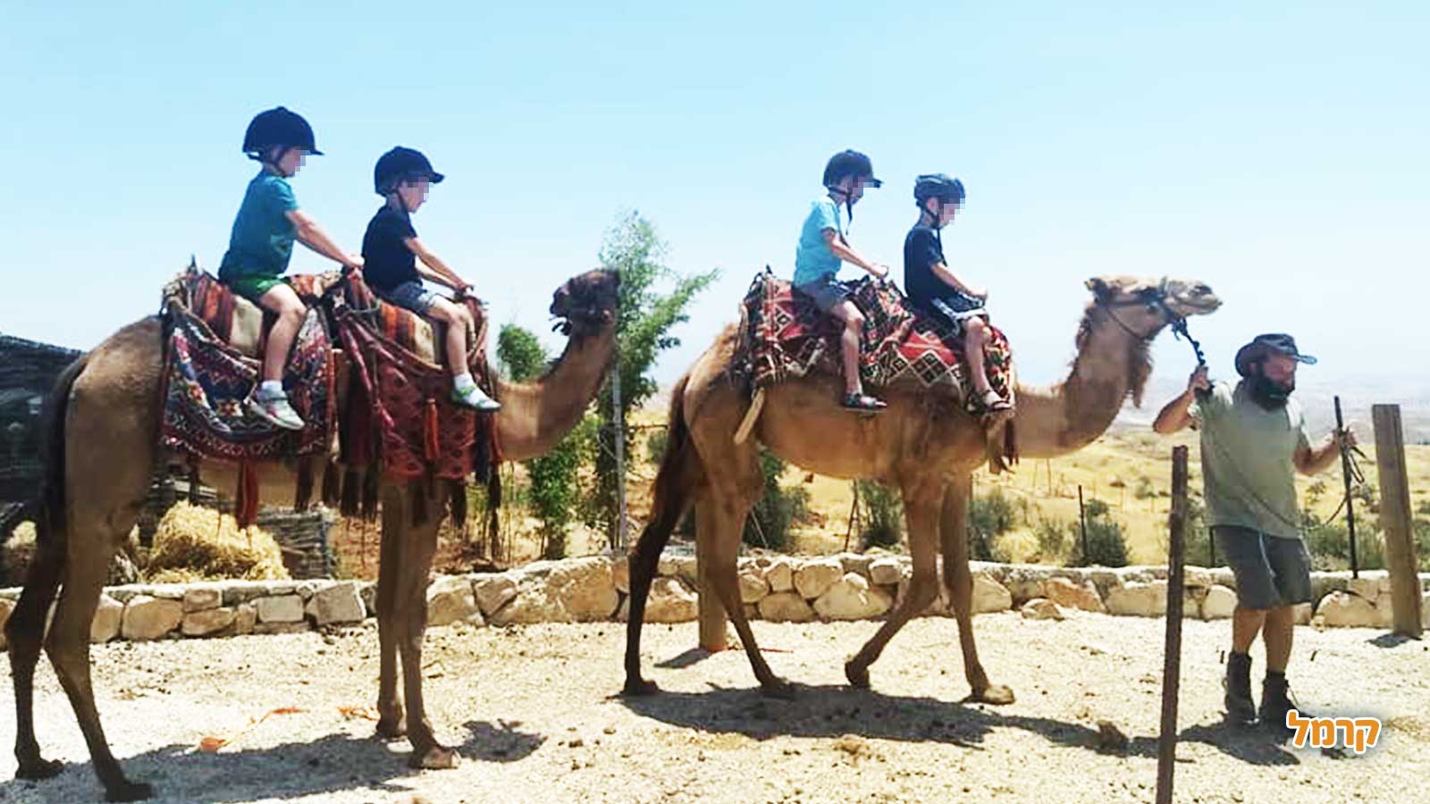 חוות החיות של שלמה - 073-7769529