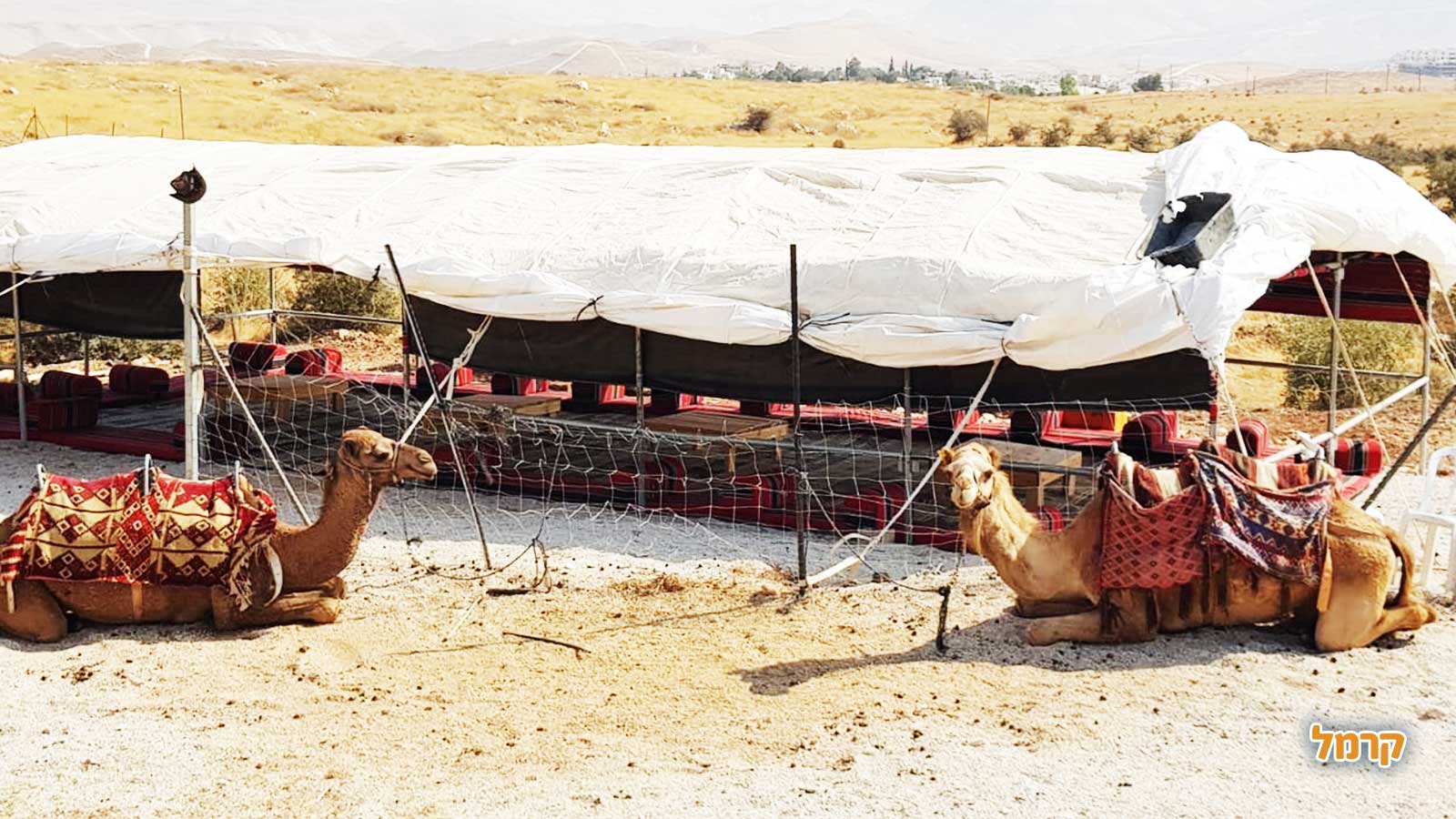 חוות החיות של שלמה - 073-7769529