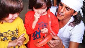 ReptileLand IL - רפטייל לנד ReptileLand IL - רפטייל לנד