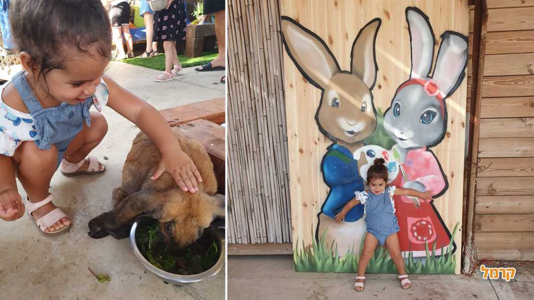 עמדות צילום