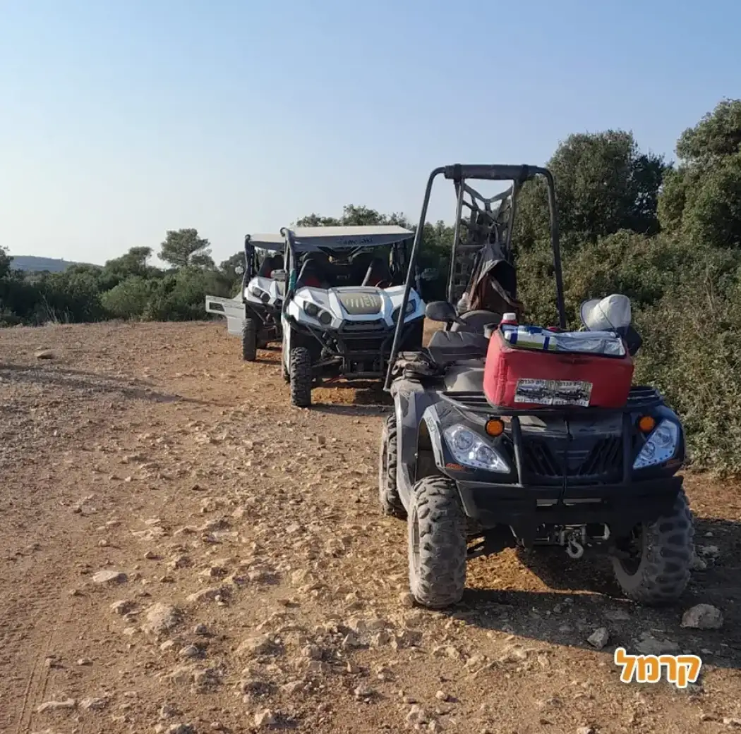 רייזרים הכרמל רייזרים הכרמל