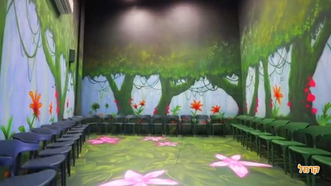 פאנקי מאנקי זכרון יעקב