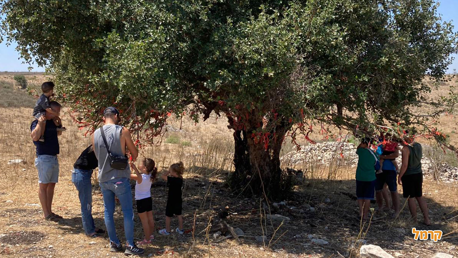 טוקטוק אלונה - טיולי שטח - 073-7785464