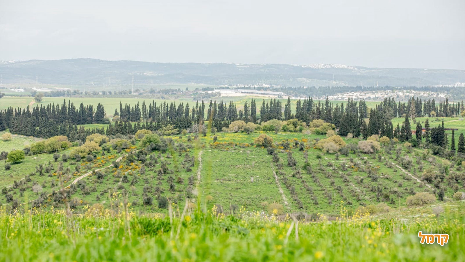 טוקטוק אלונה - טיולי שטח - 073-7785464