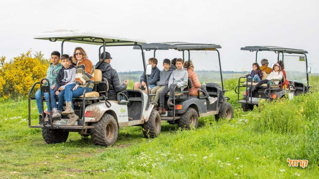 טוקטוק אלונה