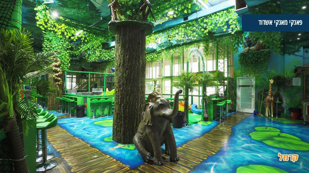 סניף אשדוד - אזור ישיבה עם פסל פיל