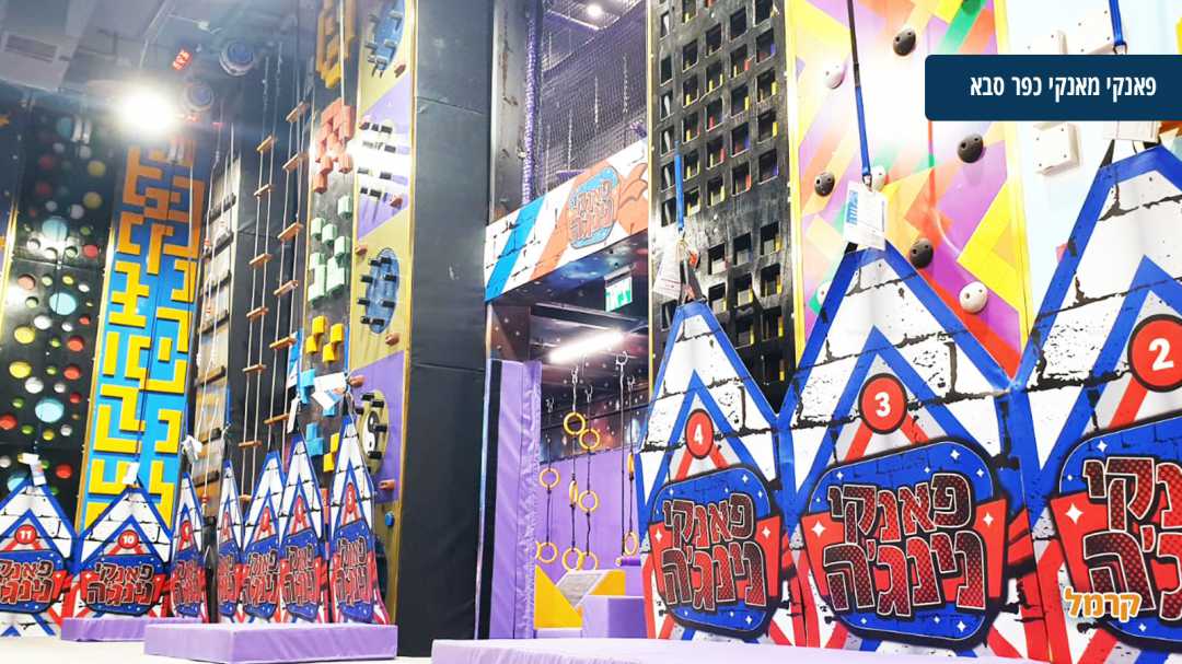 קירות טיפוס מעוצבים