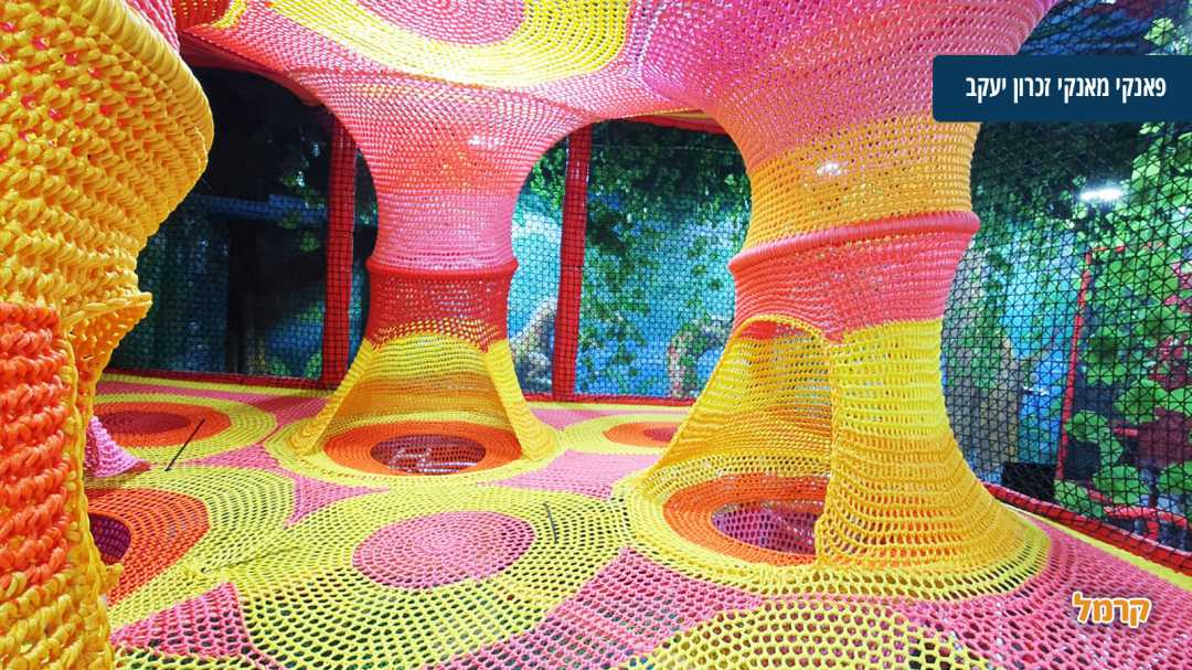 מתחם רשתות צבעוני