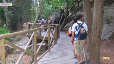 אנשים עוברים בגשר מקסים לאורך המסלול