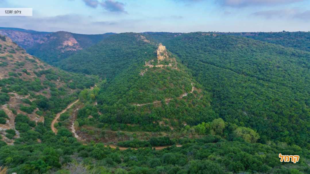 צפיה מלמעלה על האזור