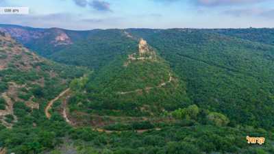 צפיה מלמעלה על האזור