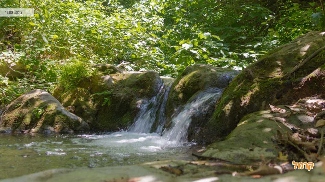 מפל קטן בנחל