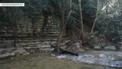 חוויה מיוחדת ומרתקת