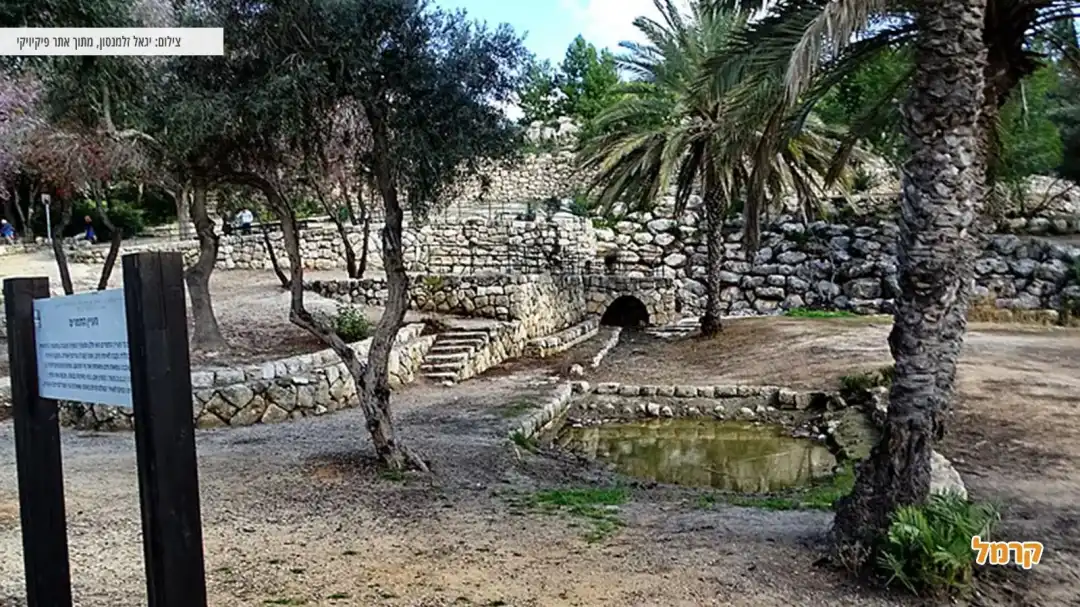 מסלול נדיר בפארק קנדה