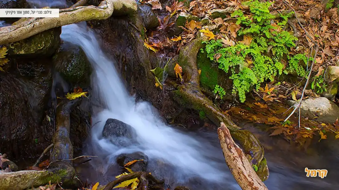 מפל זורם לאורך הנחל