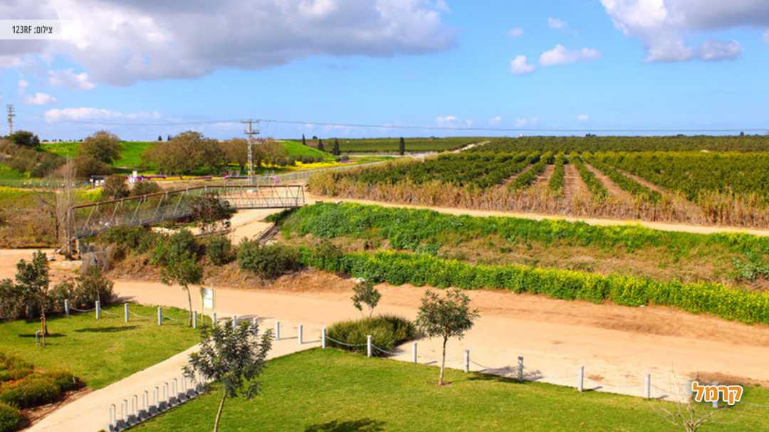 תצפית מהממת על שדות ירוקים מהמסלול