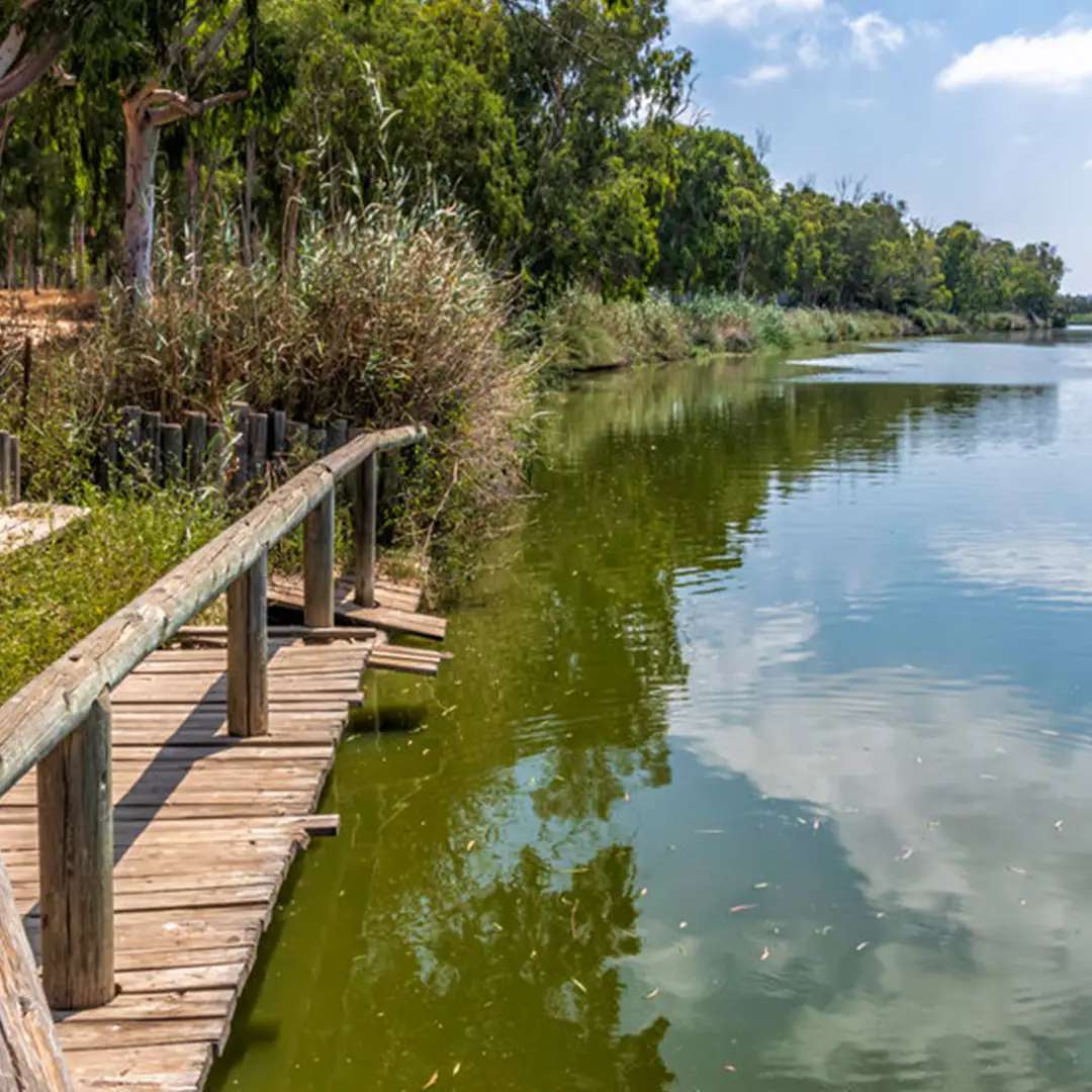 נחל אלכסנדר נחל אלכסנדר