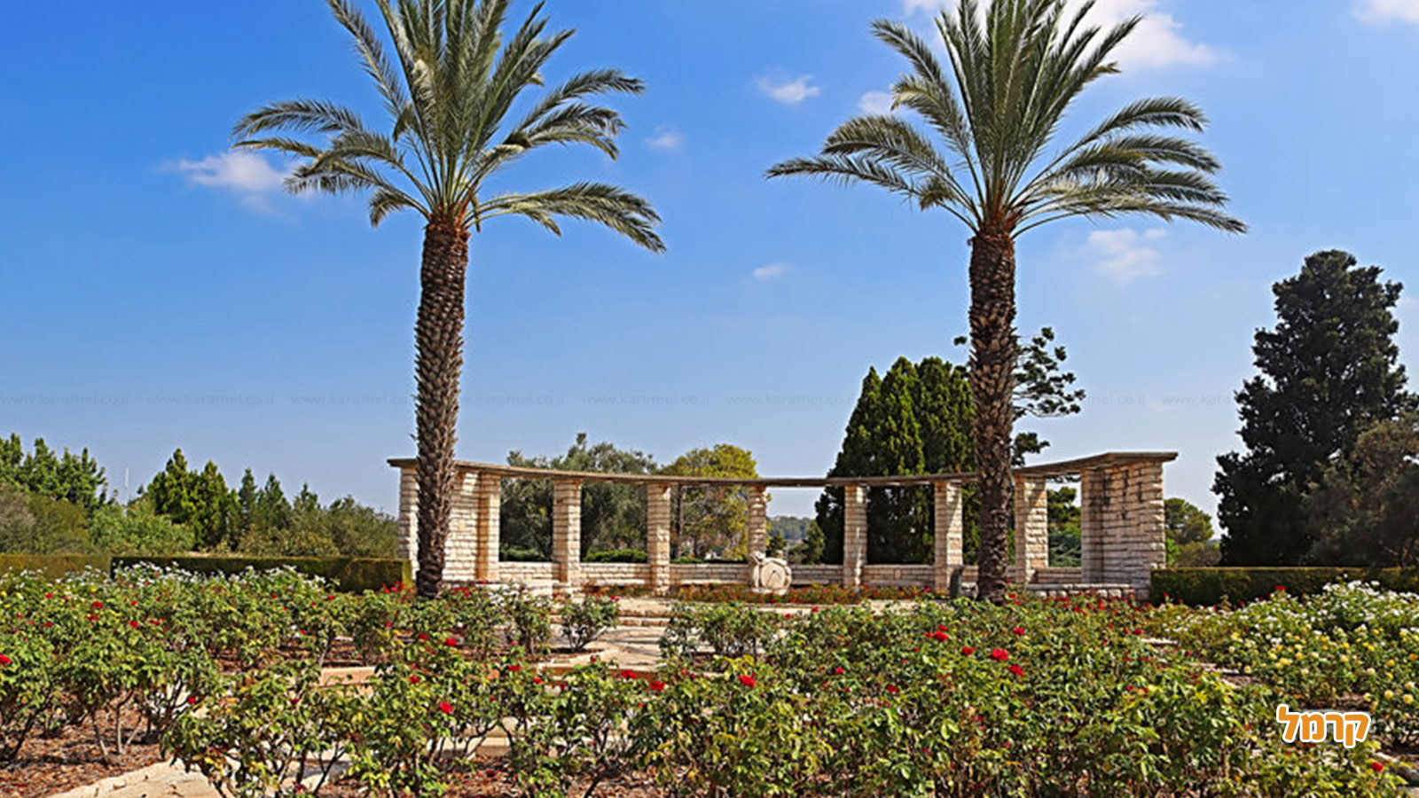 רמת הנדיב - 072-23304988