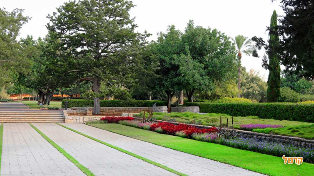 פרחים ועצים בגן