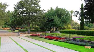 פרחים ועצים בגן פרחים ועצים בגן