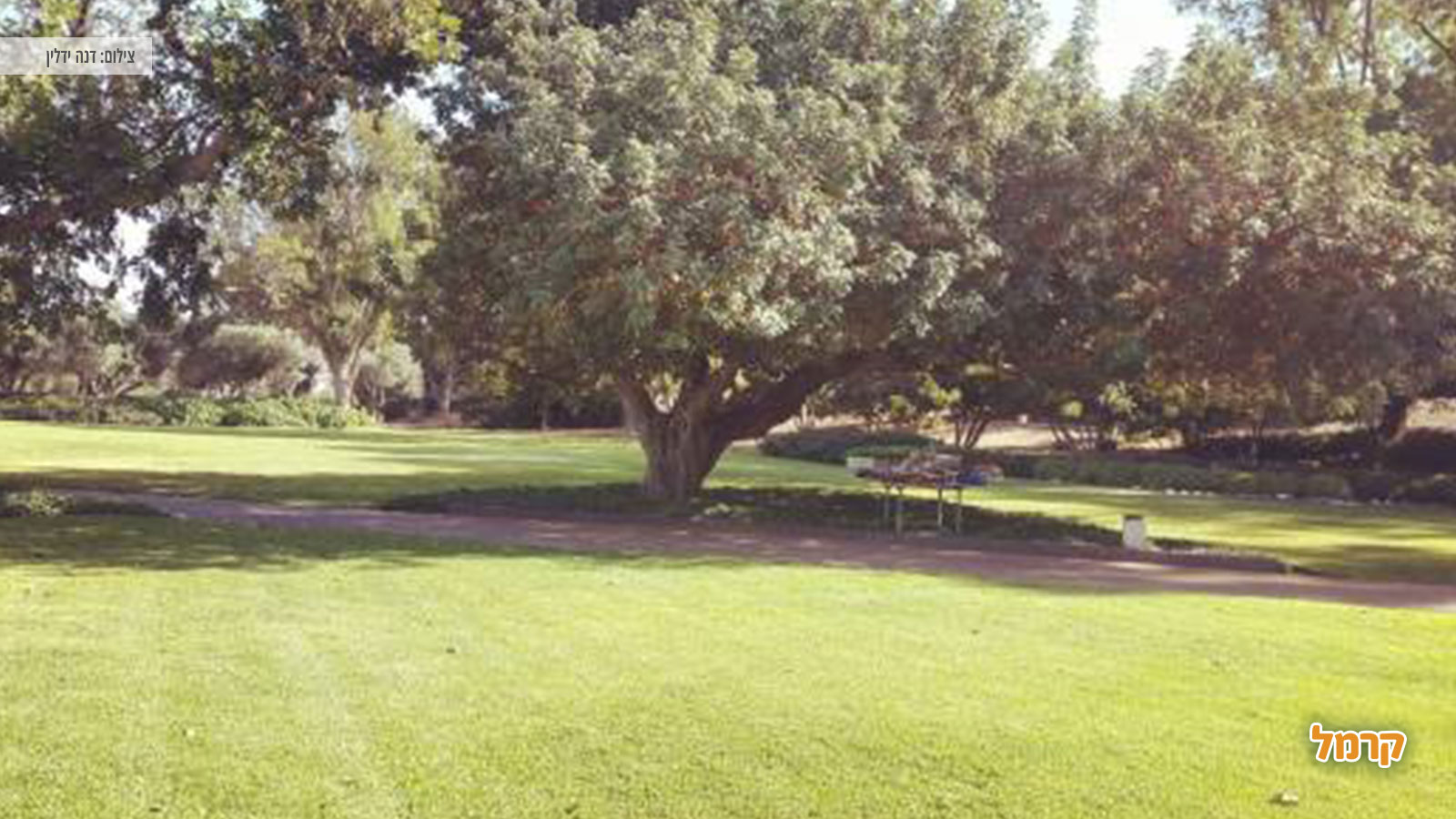 רמת הנדיב - 072-23304988