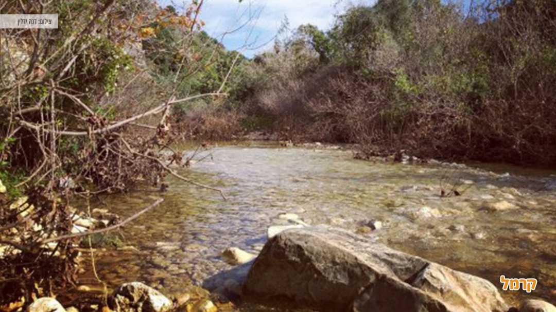 משפחה נהנת בעין חרדלית