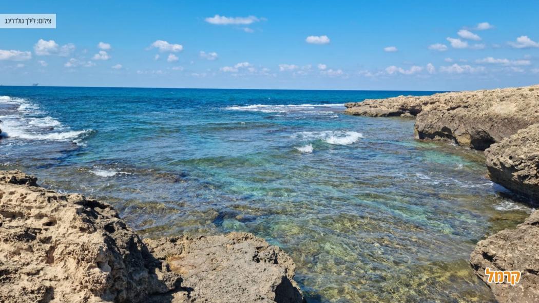 חוף דור - 048558908