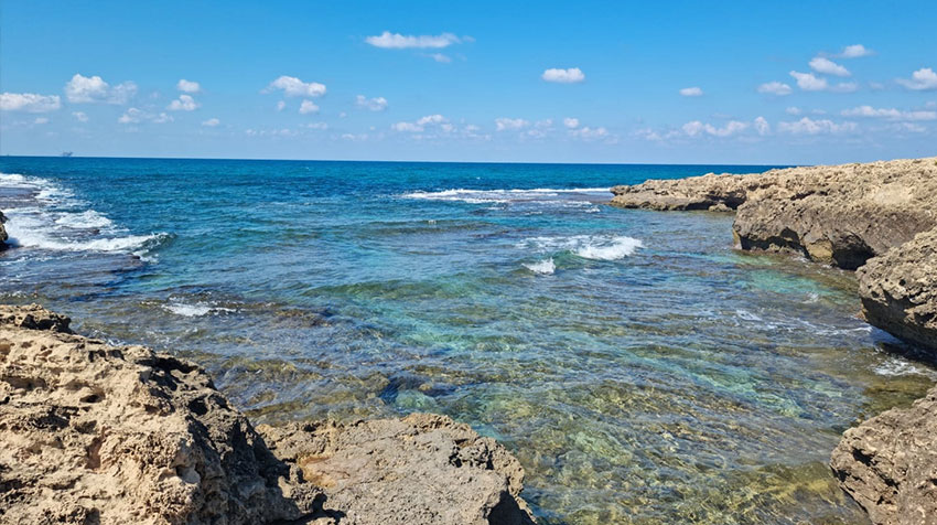 חוף דור חוף דור