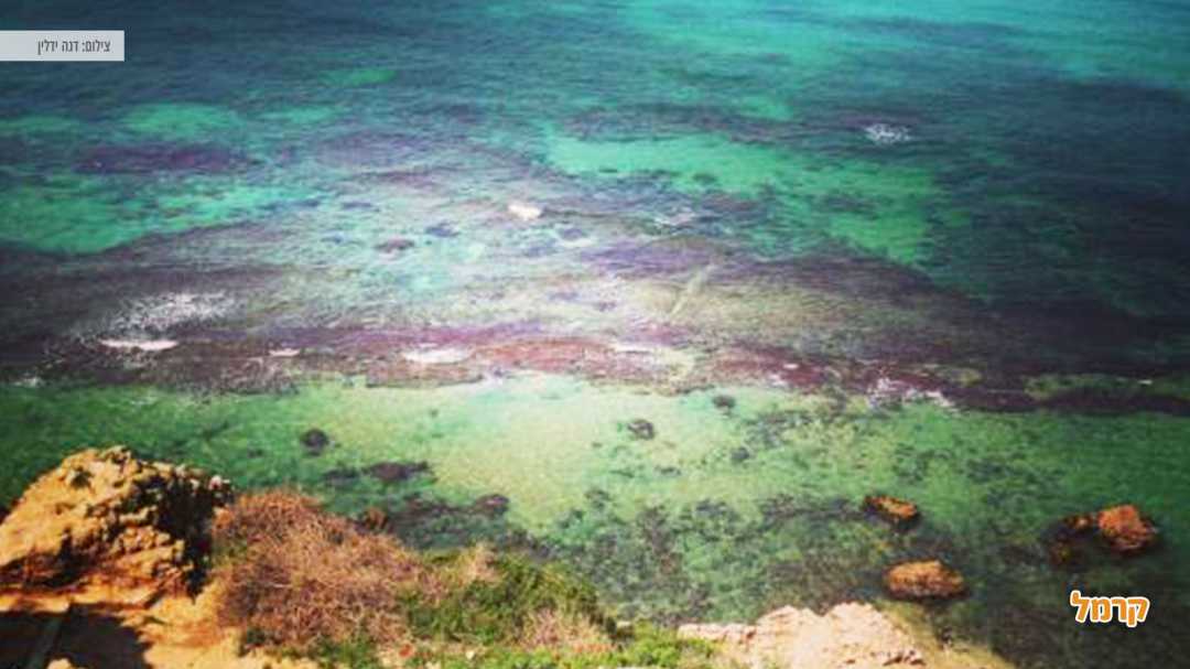 מי החוף הצלולים