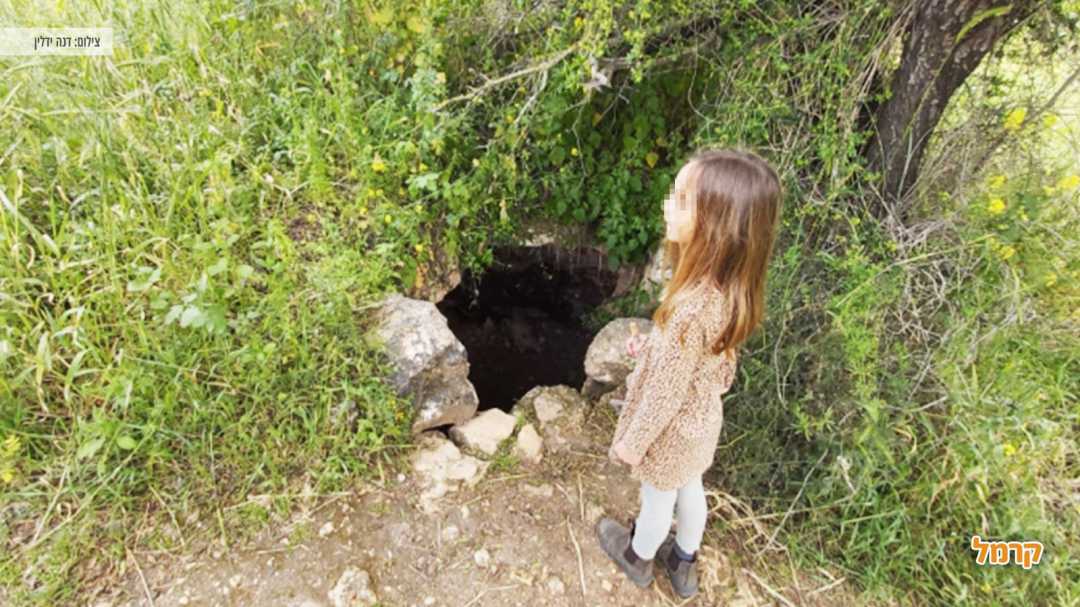 ילד ליד שלט המסביר על פארק בריטניה