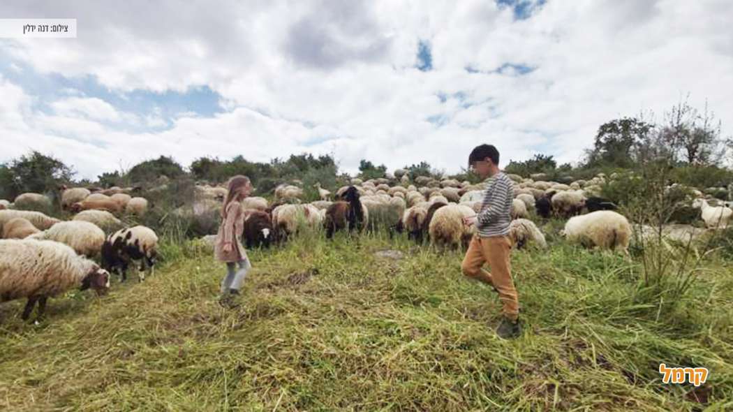 ילד ליד שלט המסביר על פארק בריטניה