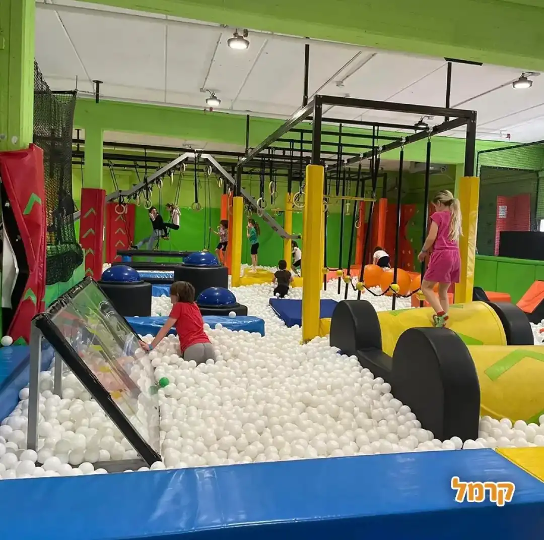 נינג'ה סיטי