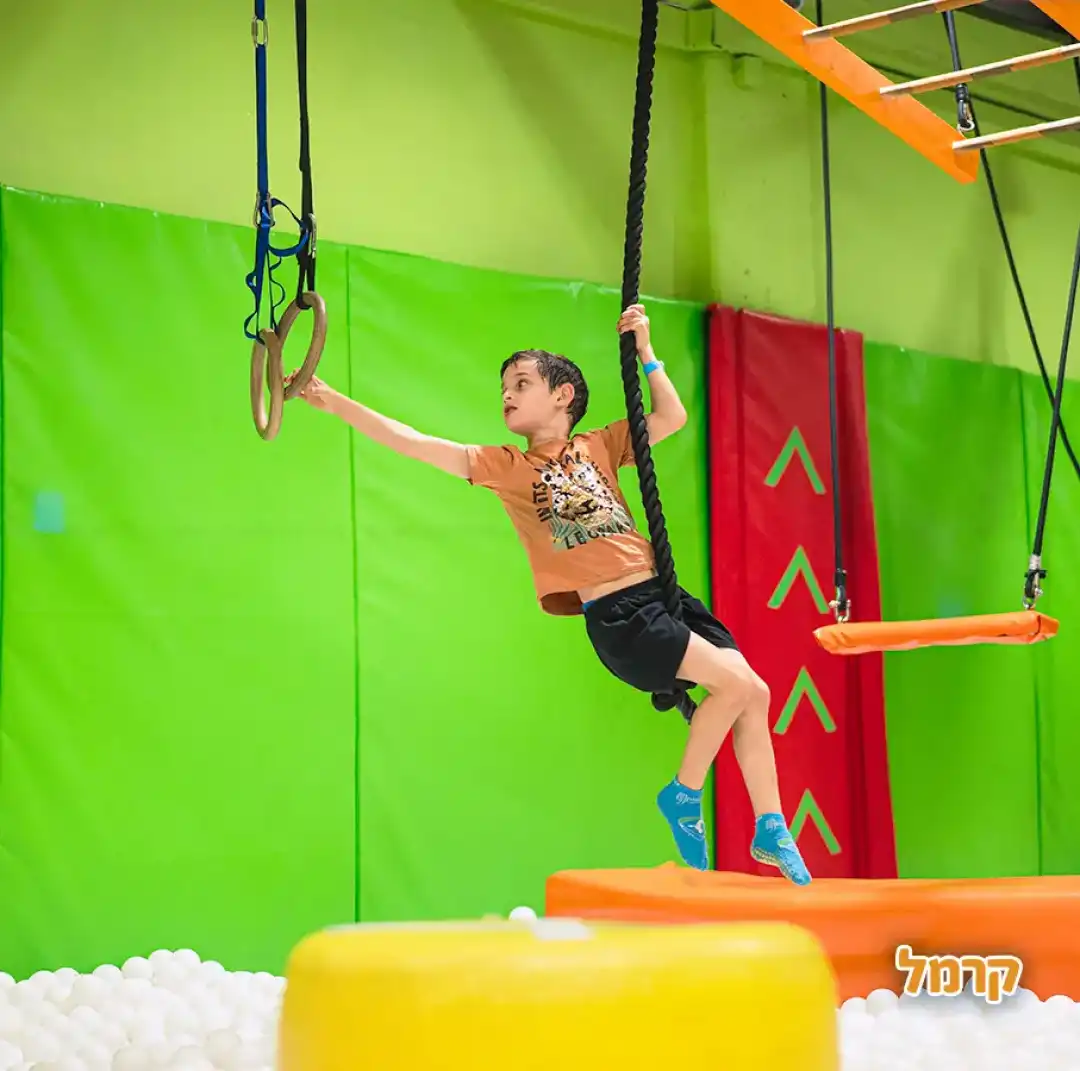 נינג'ה סיטי