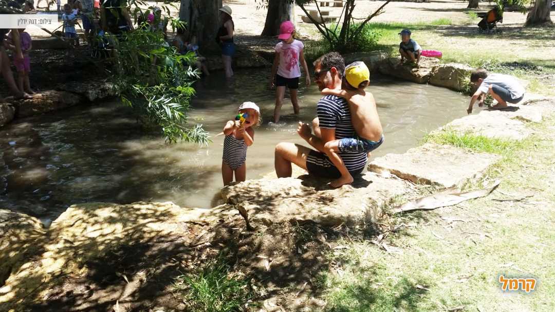 נוף אל תל אפק