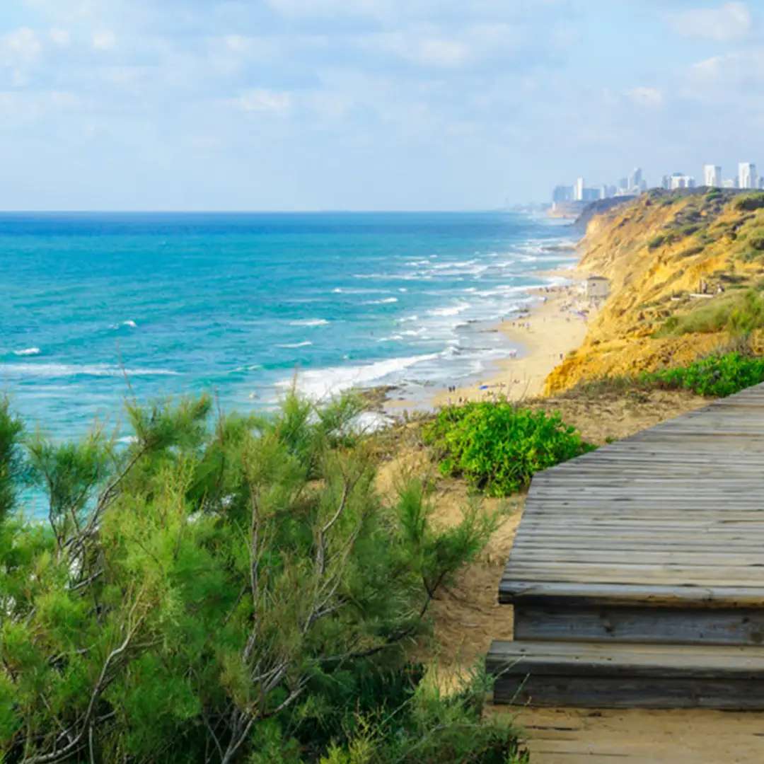 חוף געש חוף געש