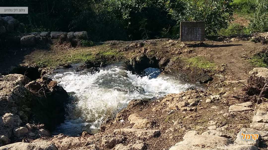 זרימת נחל מקורות הירקון