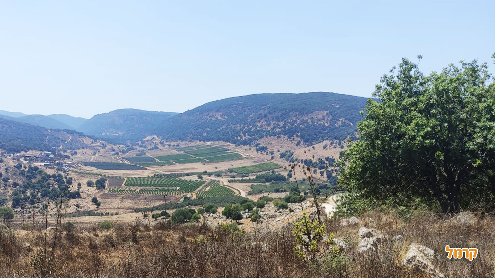 רומנטי קאר - 073-7818721