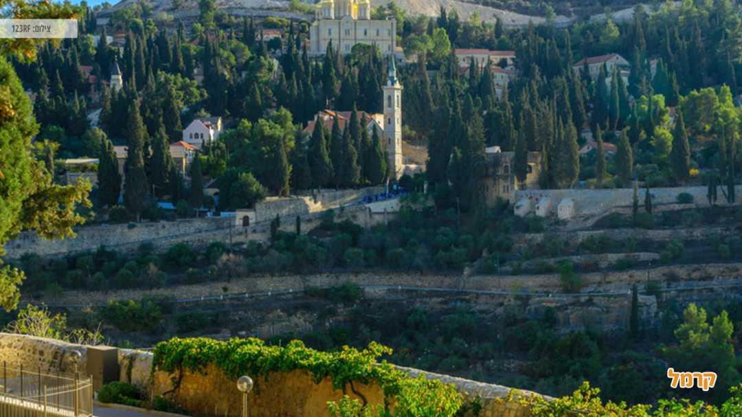 מבט על יער ירושלים