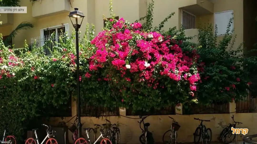 מתחם התחנה בתל אביב