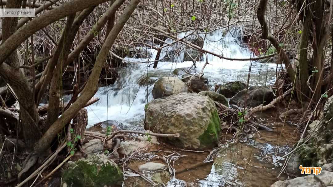 זרימת נחל עיון