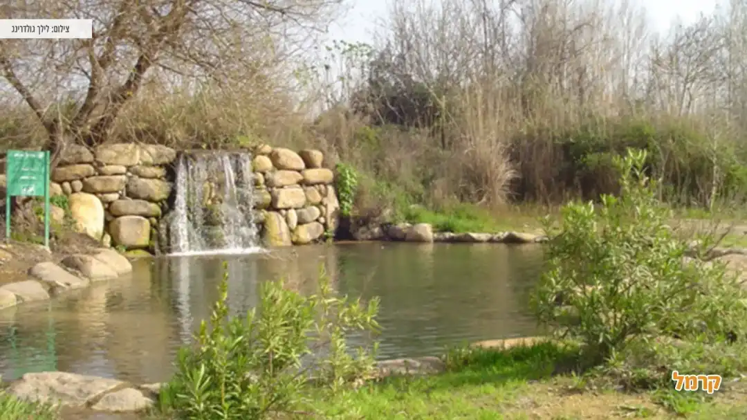 אחד המפלים בנחל עיון