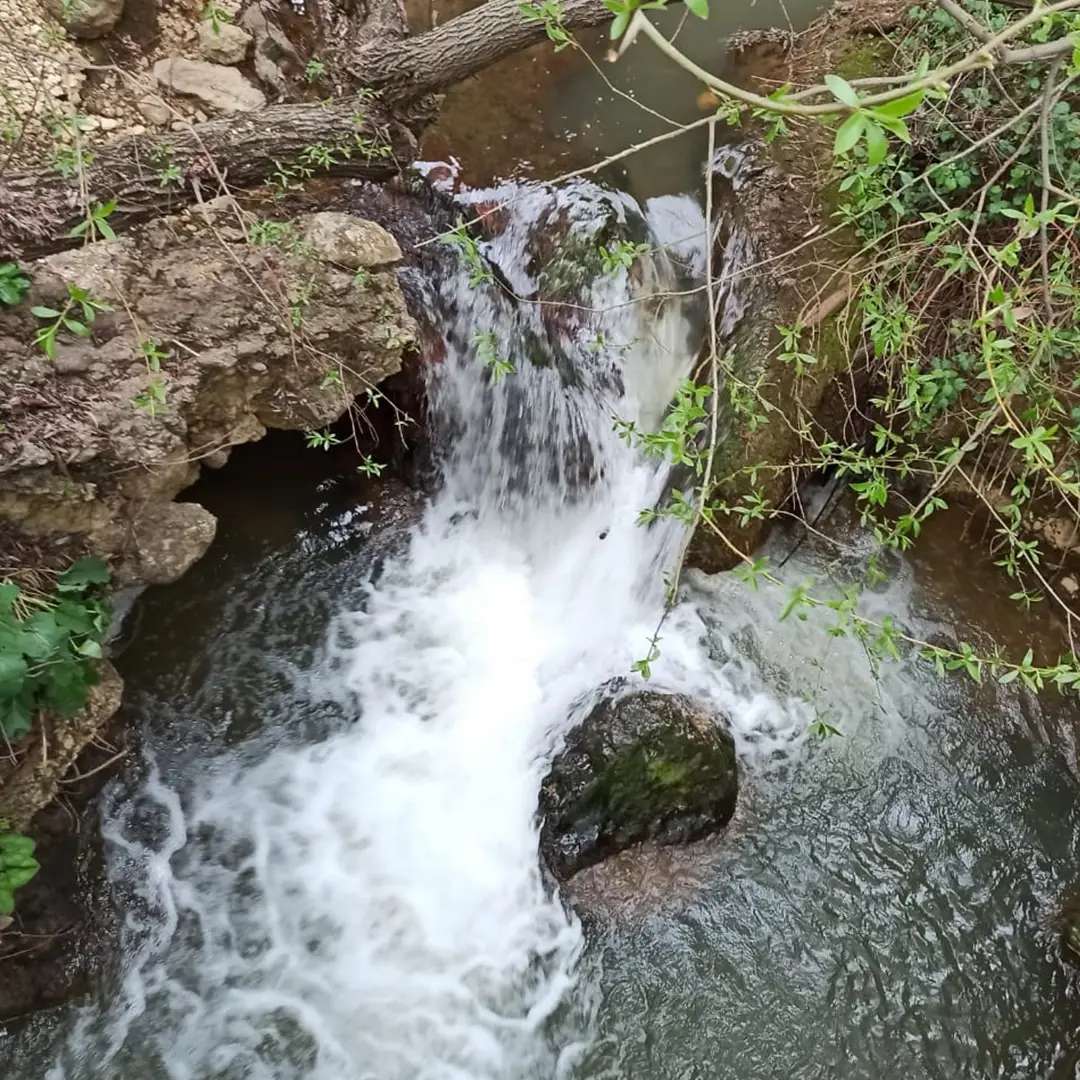 נחל עיון נחל עיון