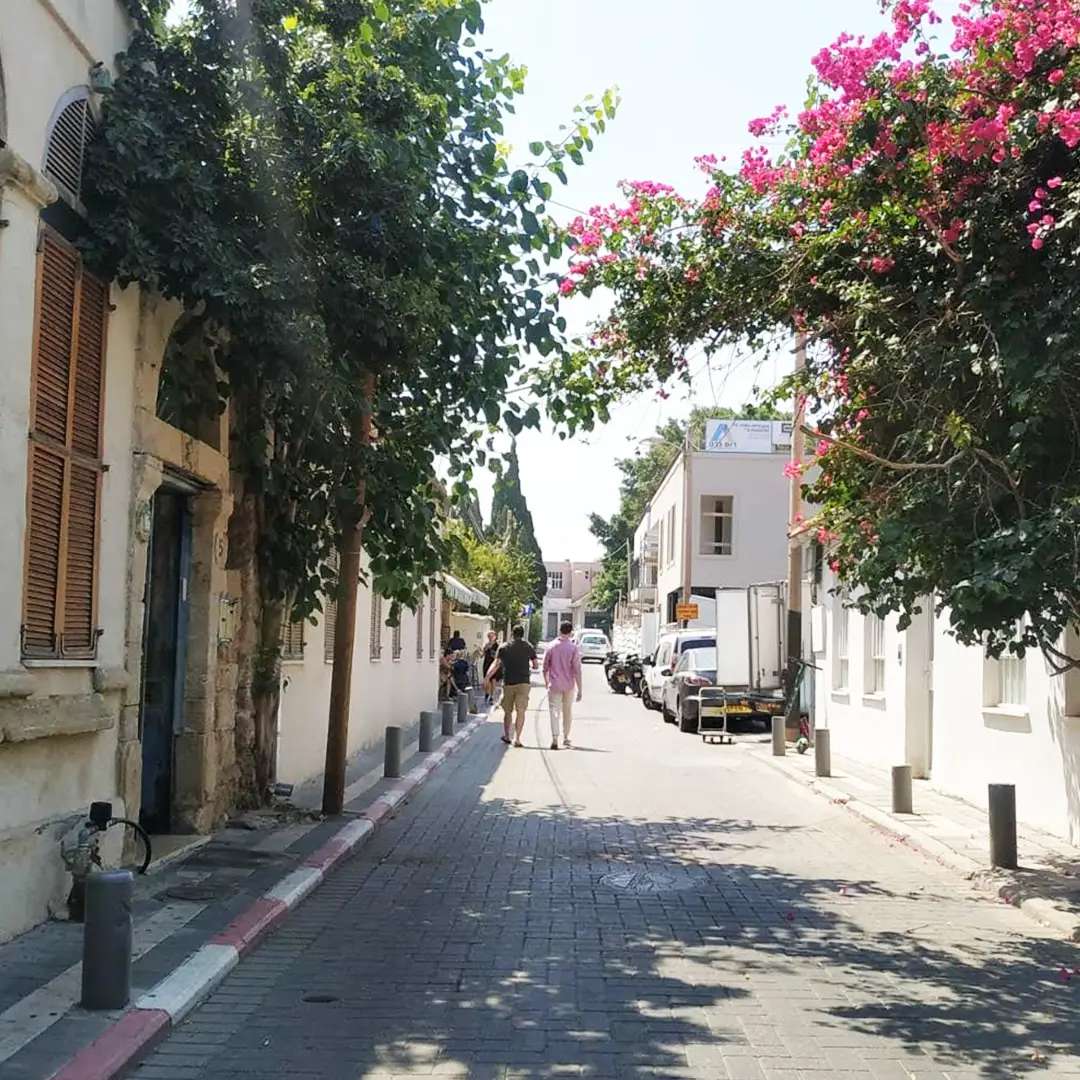 נווה צדק נווה צדק