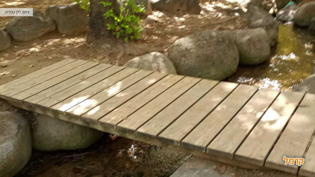 גשר וצמחייה לצד הנחל