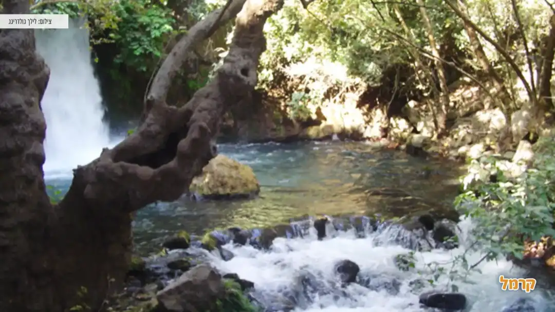 טיול בשמורת נחל הבניאס והמפל היפיהפה