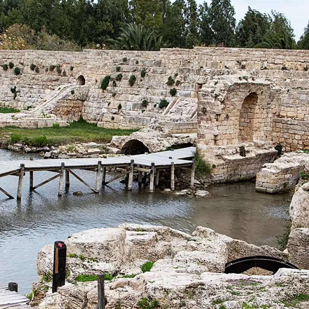 נחל תנינים נחל תנינים